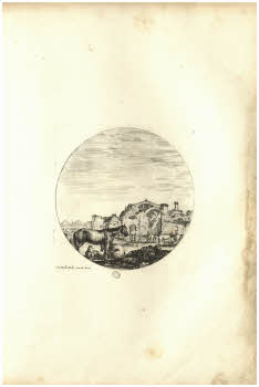 Vol.%20Z%20132%2C%20tav.%203